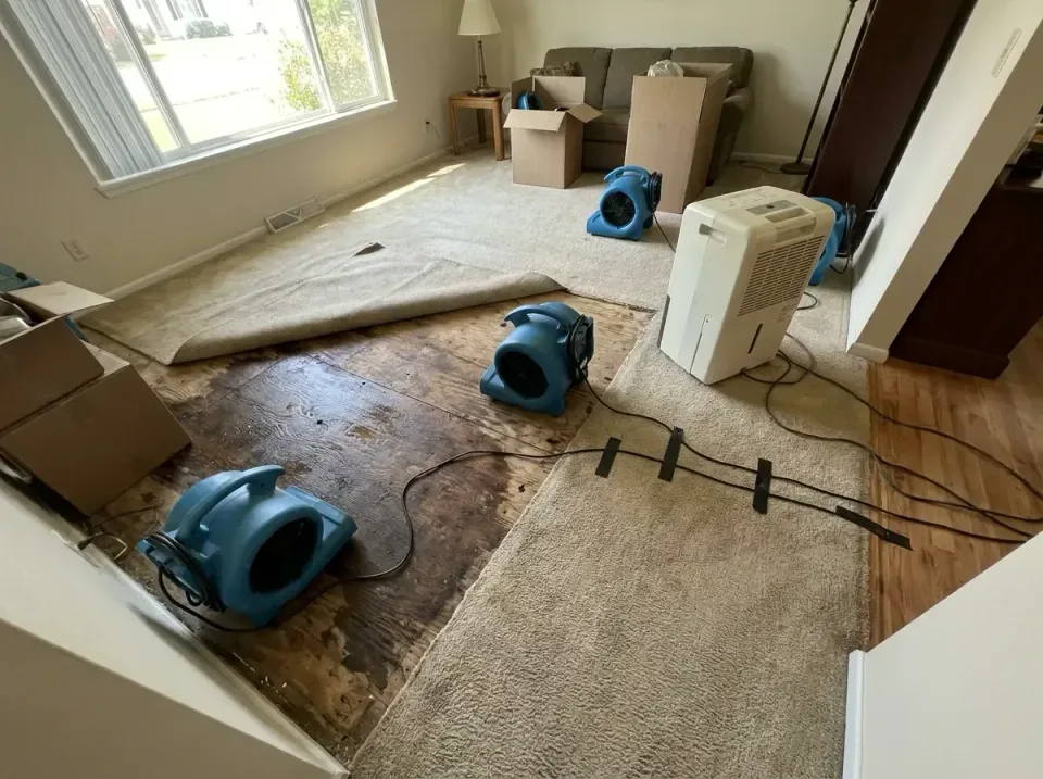 Blue Air Mover — Residential Living Room — Blue Air Mover, Dehumidifier, Pulled-back Carpet, Residential Living Room, Emerge…